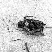 Waste