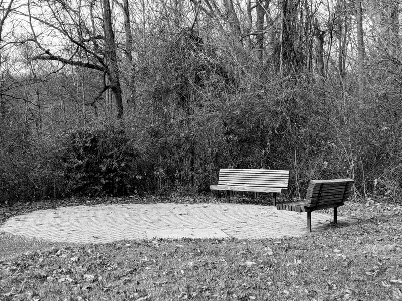 Benches