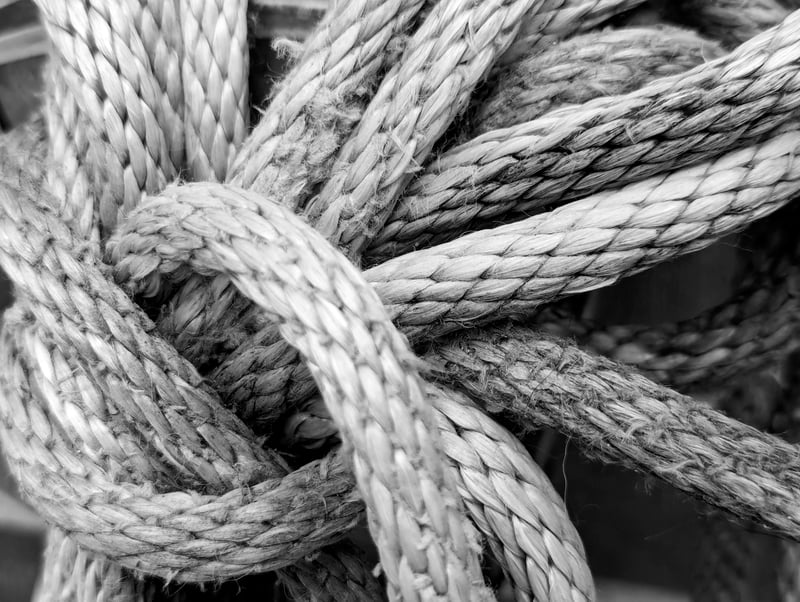 Tangled